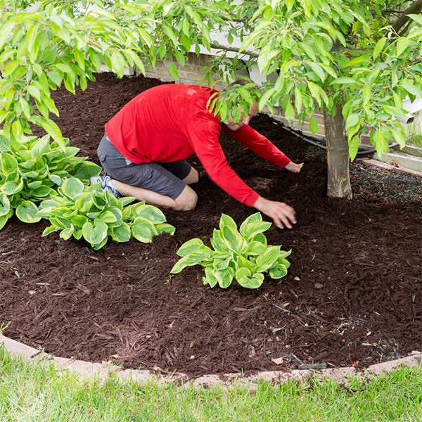 we can give you a quote based on the size of your garden and the type of mulch you choose for mulch installation